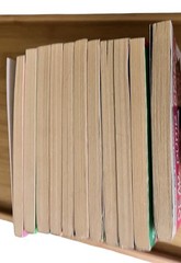 Lot of 11 Dear Dumb Diary books set #1-4, #6-10, 12, Year Two #1 by Jim Benton