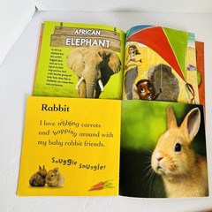 Animal Science Nature Book Lot 8 Classroom Homeschool Hibernation Baby STEM