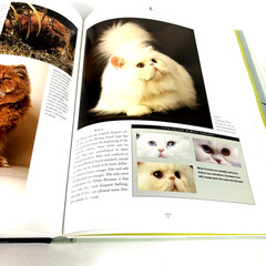 The Complete Cat Book by Paddy Cutts Hardcover First Edition 1994 With Cover
