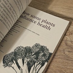 Shamanic Gardening Book – Timeless Techniques Sustainable Melinda Joy Miller