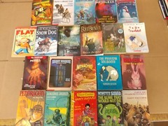 Lot of 20 Chapter Books for BOYS Youth Early Reader Young Adults Children RANDOM