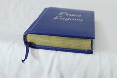 Peace Lagoon: Sacred Songs of the Sikhs (1989, Pocket Size)