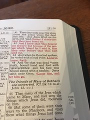 Leather KJV Old Scofield Study Bible 1917 notes Red letter Thumb-Indexed