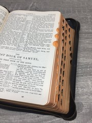 Holy Bible Self-Pronouncing S.S. Teachers Red Letter 1926 National Bible Press