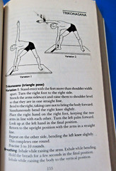 Asana Pranayama Mudra Bandha by Swami Satyananda Saraswati PB 2009