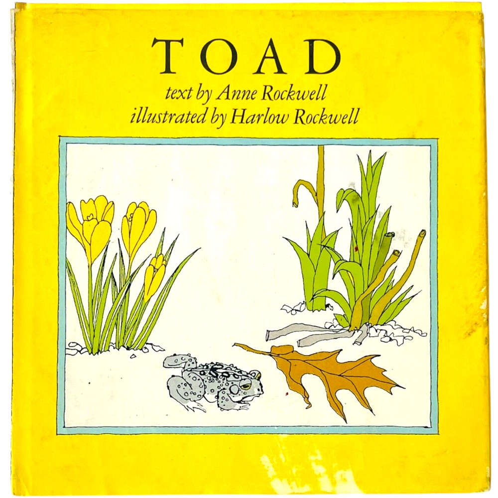 Toad by Anne Rockwell illustrated by Harlow Rockwell – Hardcover Book 1972