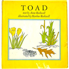 Toad by Anne Rockwell illustrated by Harlow Rockwell – Hardcover Book 1972