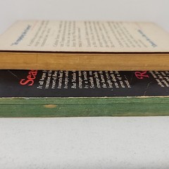 Vintage Gothic Romance Paperback Lot (2) Dell & Ace Star 1950s–70s VERY POOR