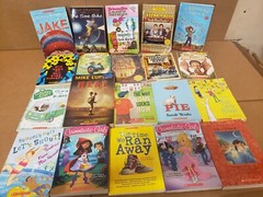 Lot of 100 Chapter INSTANT LIBRARY Children RANDOM~MYSTERY BOX~UNSORTED BOOK MIX