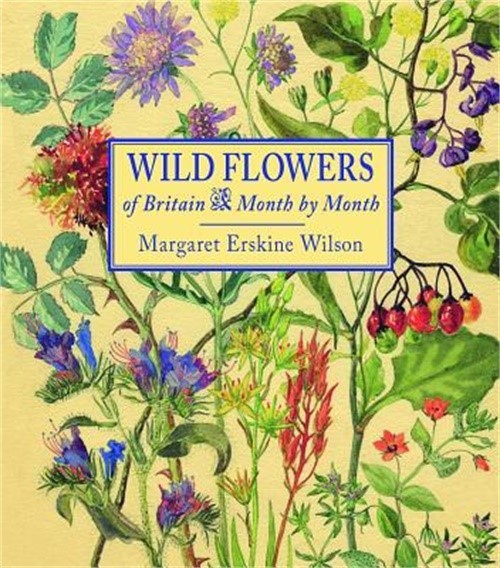 Wild Flowers of Britain: Month by Month (Hardback or Cased Book)