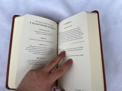 Daily Feast : Meditations from Feasting on the Word (Years A, B and C together)
