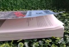 Project 19 : A Mission Most Secret by John W. Swancara Trade PB