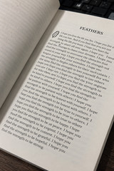 Theo of Golden Paperback by Allen Levi New book