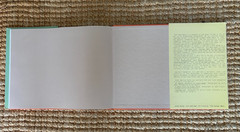 Nick Waplington Living Room Berger Avedon Hardcover Dust Jacket 1st Edition 1991
