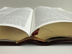 The Net Bible – Premium Bonded Leather – 60,932 Translators Notes – 2005