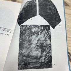 Coal Age Fossils From Mazon Creek Scientific Papers Vol III 1979 Illinois