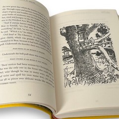 Winnie-the-Pooh by Milne ILLUSTRATED Flexi Bound Faux Leather Classics Gift Book