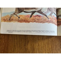 Vintage Dinosaurs My Little Hen 1970s Random House Book Lot