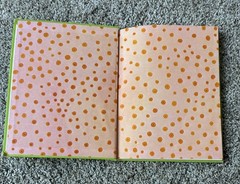 🟧 Hardcover Children’s Vintage Book Gypsy Girl’s Best Shoes by Anne Rockwell
