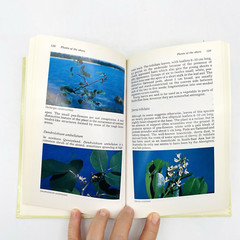 Plant Life of the Great Barrier Reef & Adjacent Shores A.B. Cribb J.W. Cribb HC