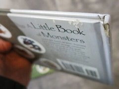 A Little Book Of Monsters & Magical Beings By Llyn Hunter – SIGNED
