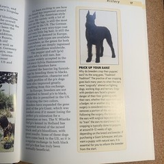 A Kennel Club Book Giant Schnauzer Comprehensive Guide To Owning And Caring For