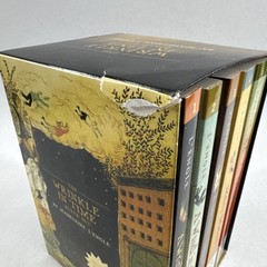 INCOMPLETE The Wrinkle in Time Set books No Journal