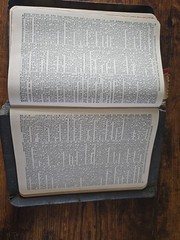 Holy Bible Self Pronouncing With the Words of Christ Printed in Red vintage
