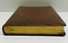 NEW/Sealed KJV Holy Bible GOD BLESS THE USA Lee Greenwood LARGE PRINT red letter
