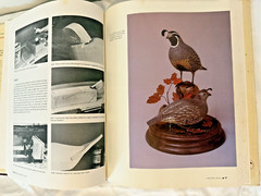 Game Bird Carving Tools Techniques Bruce Burk Vintage Book 1972 HC DJ Decoy