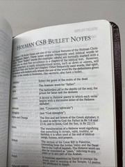 HCSB Large Print Compact Bible • Burgundy Bonded Leather (2005, Holman)