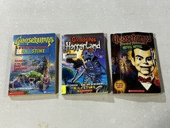 Lot of 14 Vintage RL Stine Books – Fear Street Goosebumps Paperbacks Horror READ