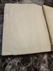 Still More Boners The Viking Press 1931 First Edition