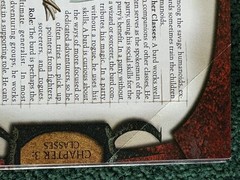 Premium Hardcover Dungeon’s & Dragons Player’s Handbook: v.3.5.
