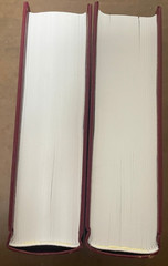 The Second Coming of Christ: The Resurrection of the Christ Within You 2 Vols
