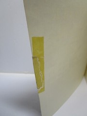 GOLD FEVER By Helen E. Wilson 3rd Printing 1987 Jarbridge Nevada