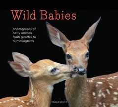 Wild Babies: Photographs of Baby Animals from Giraffes to Hummingbirds by