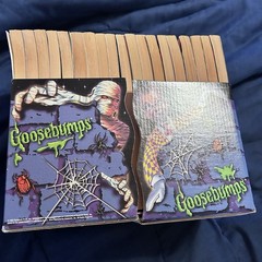 Lot of 19 Vintage 1990’s Goosebumps Books & Rare Cardboard Bookends 1st Print!