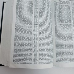 New World Translation of Holy Scriptures 1984 Watchtower Bible & Tract Society