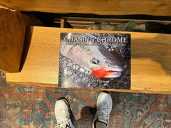 Chasing Chrome by Jonathan Farmer