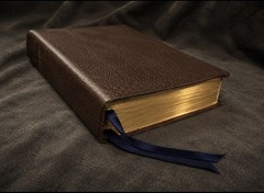 Rare Custom cepher bible Apocrypha Deuterocanonical Premium Leather Brown Enoch