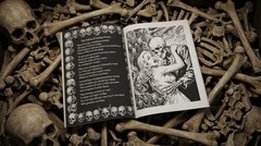 Skulls & Skeletons Adult Coloring Book