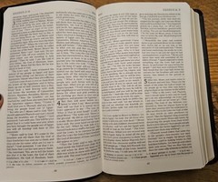 REB Revised English Bible Standard Text Edition Gray Leather RE532:T Cambridge