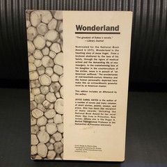 Joyce Carol Oates Wonderland Paperback Book Club Edition 1992, Illustrated
