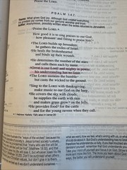 NIV Life Application Study Bible Burgundy Bonded Leather