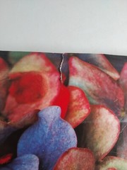 Ernst Haas Color Photography by Ernst Haas 1989 Abrams Fine Art Book HC DJ