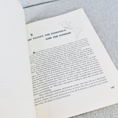 American Indian Design & Decoration Appleton 1971 Dover Edition Art History Book