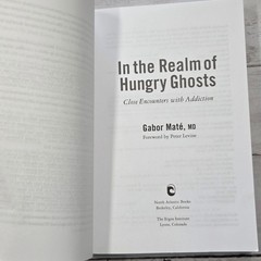 Gabor Maté In the Realm of Hungry Ghosts Book Psychology Non-Fiction Paperback