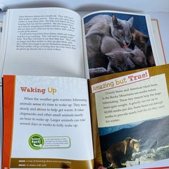 Animal Science Nature Book Lot 8 Classroom Homeschool Hibernation Baby STEM