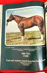 1979 Quarter Horse Journal, Book, STALLION EDITION! – KIDNAP BAR – ZAN PARR BAR